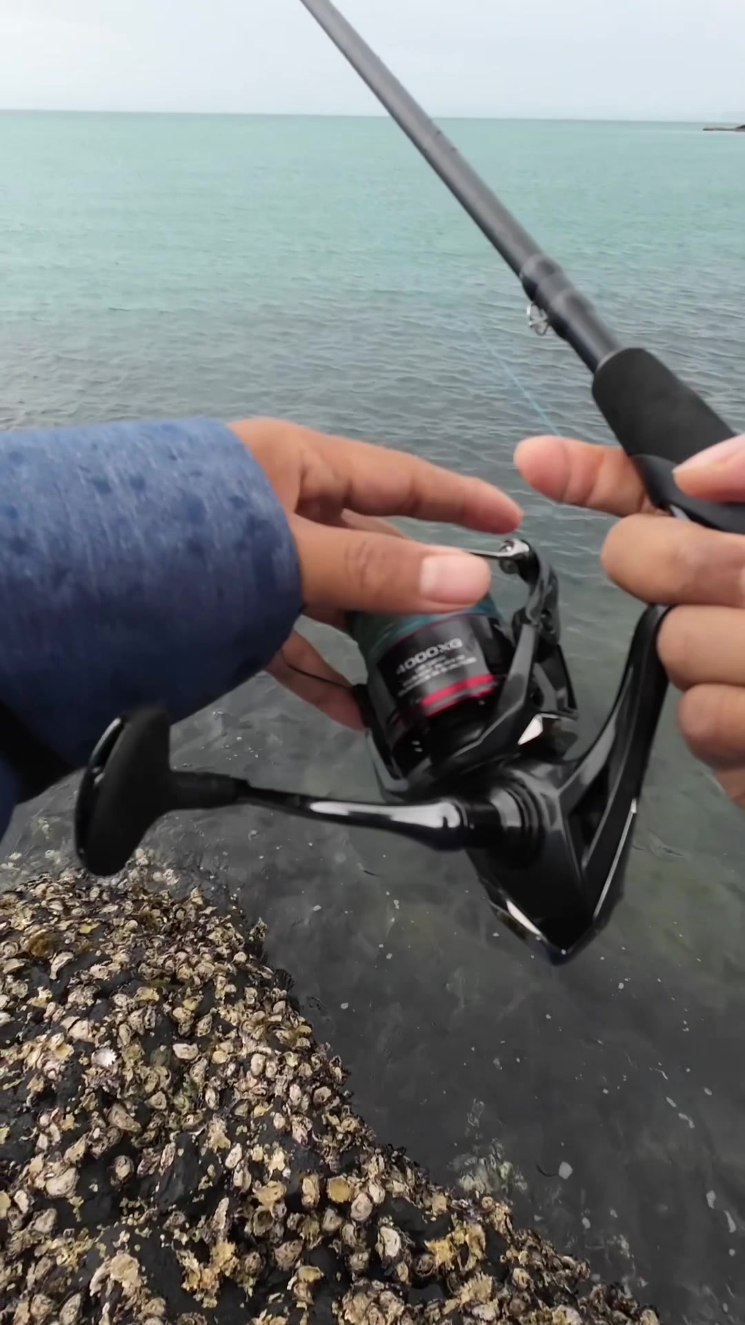 @Taqi Fishing