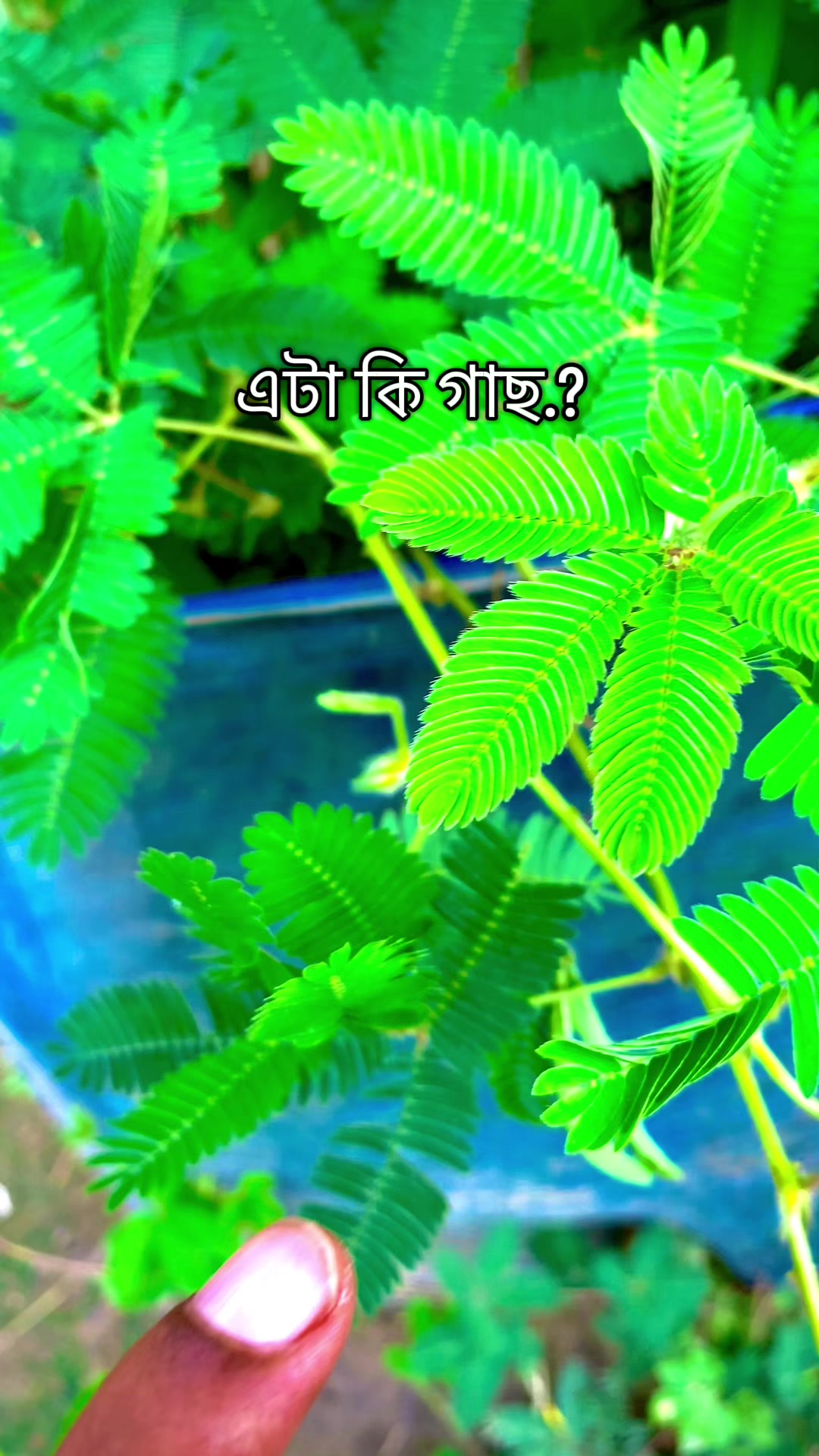 @𝙼𝚛.𝚁𝙰𝙺𝙸𝙱࿐