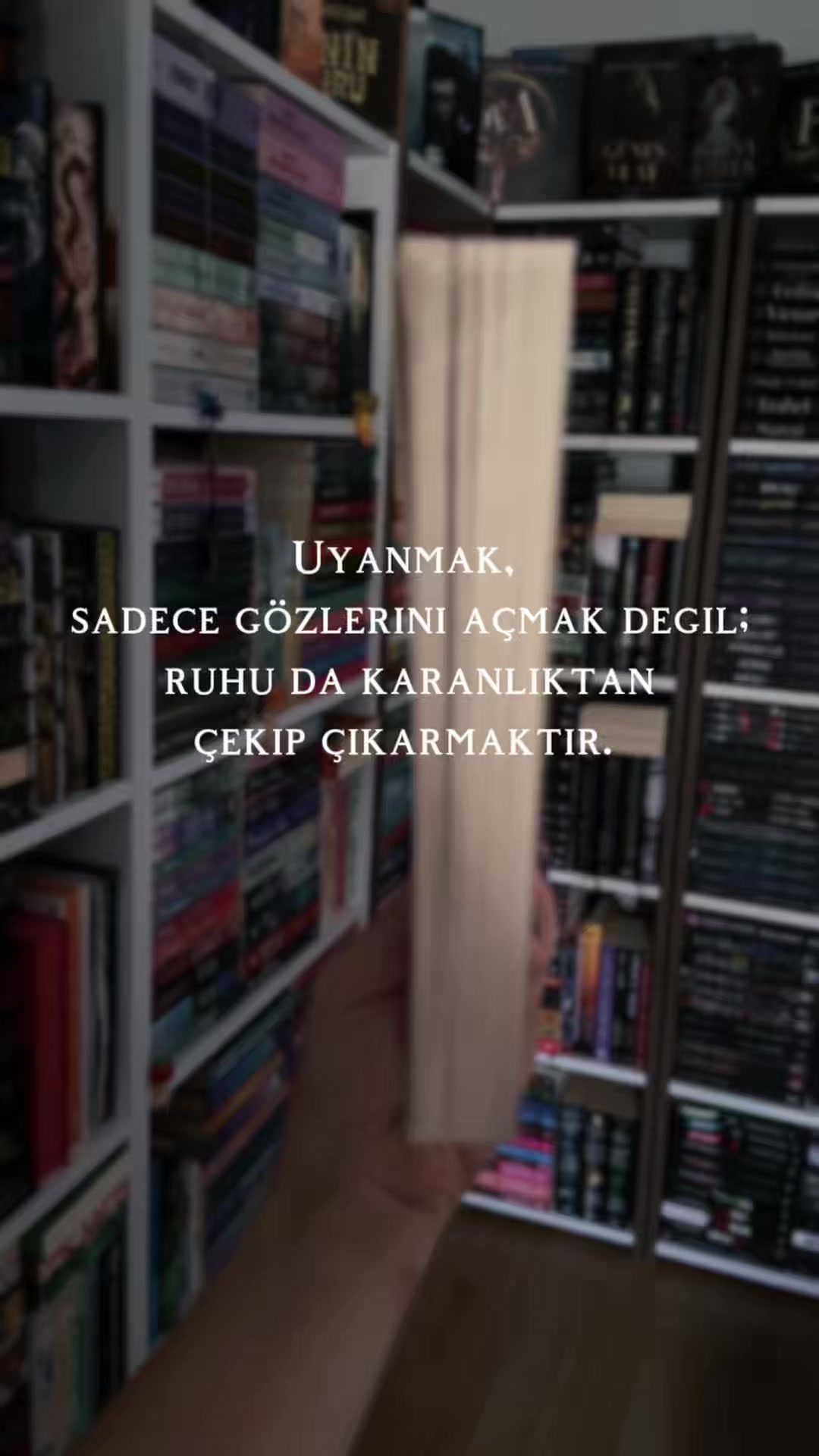 @bittenbyspicybooks