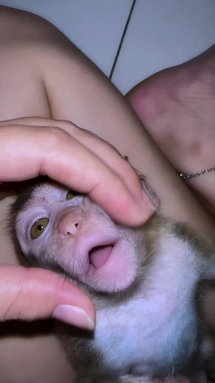 @Michelle🐒