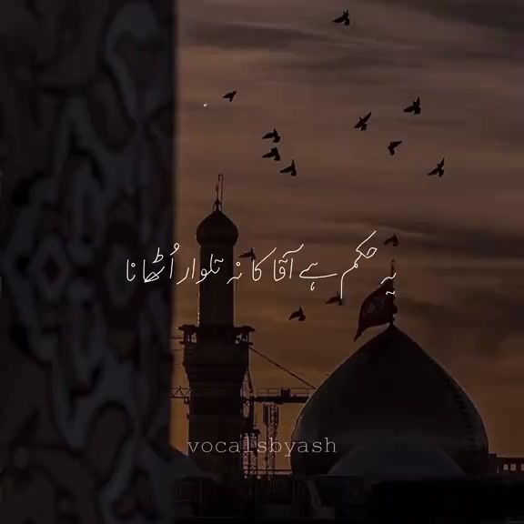 @Hamza Alvi🤓