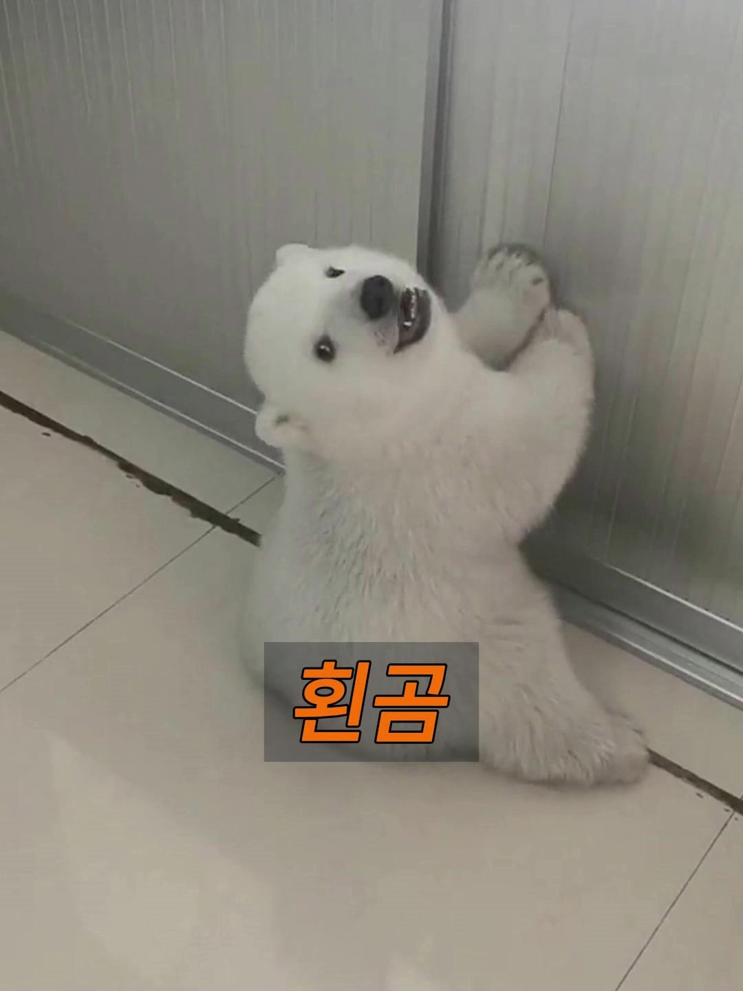 @삼촌Cut2025