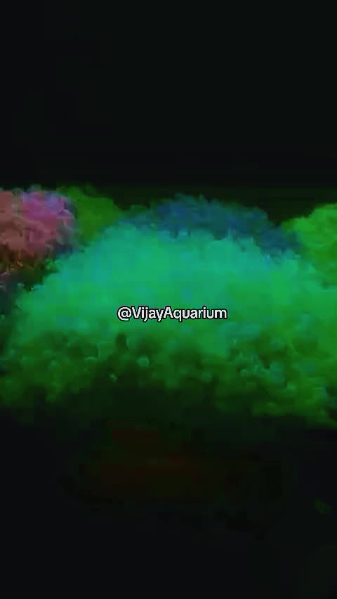 @Vijay Marine