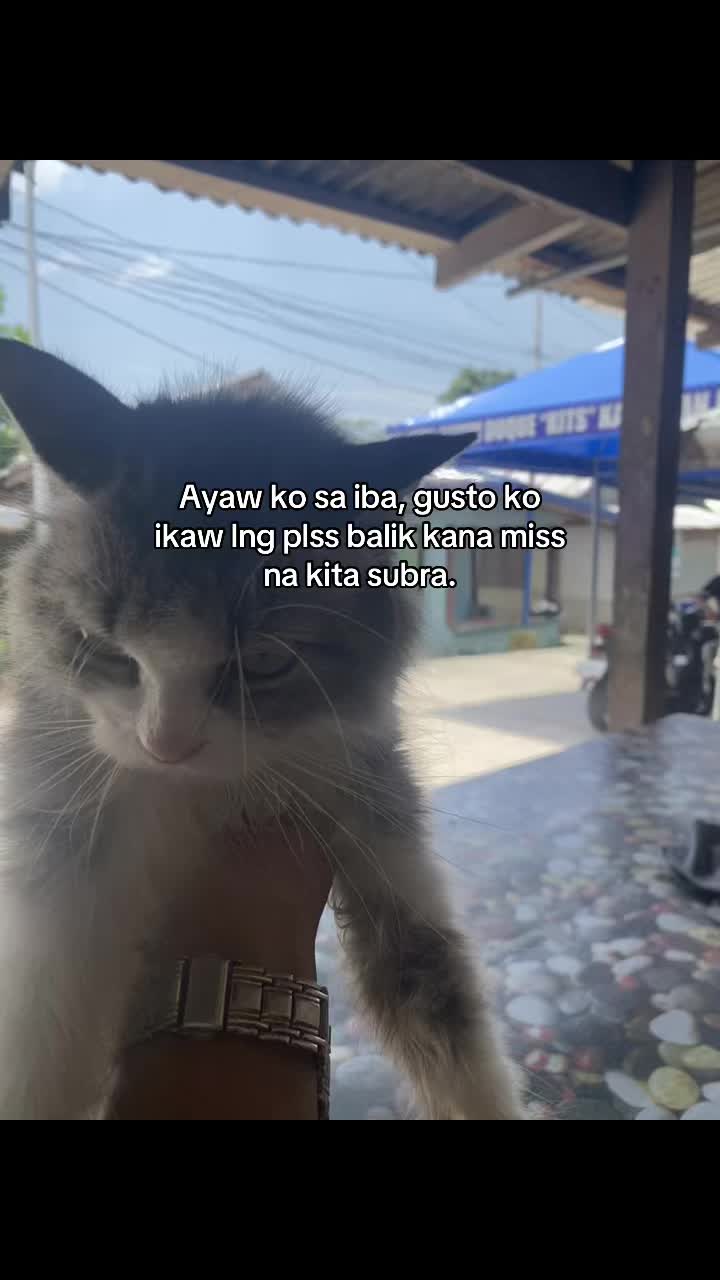 @Radturan