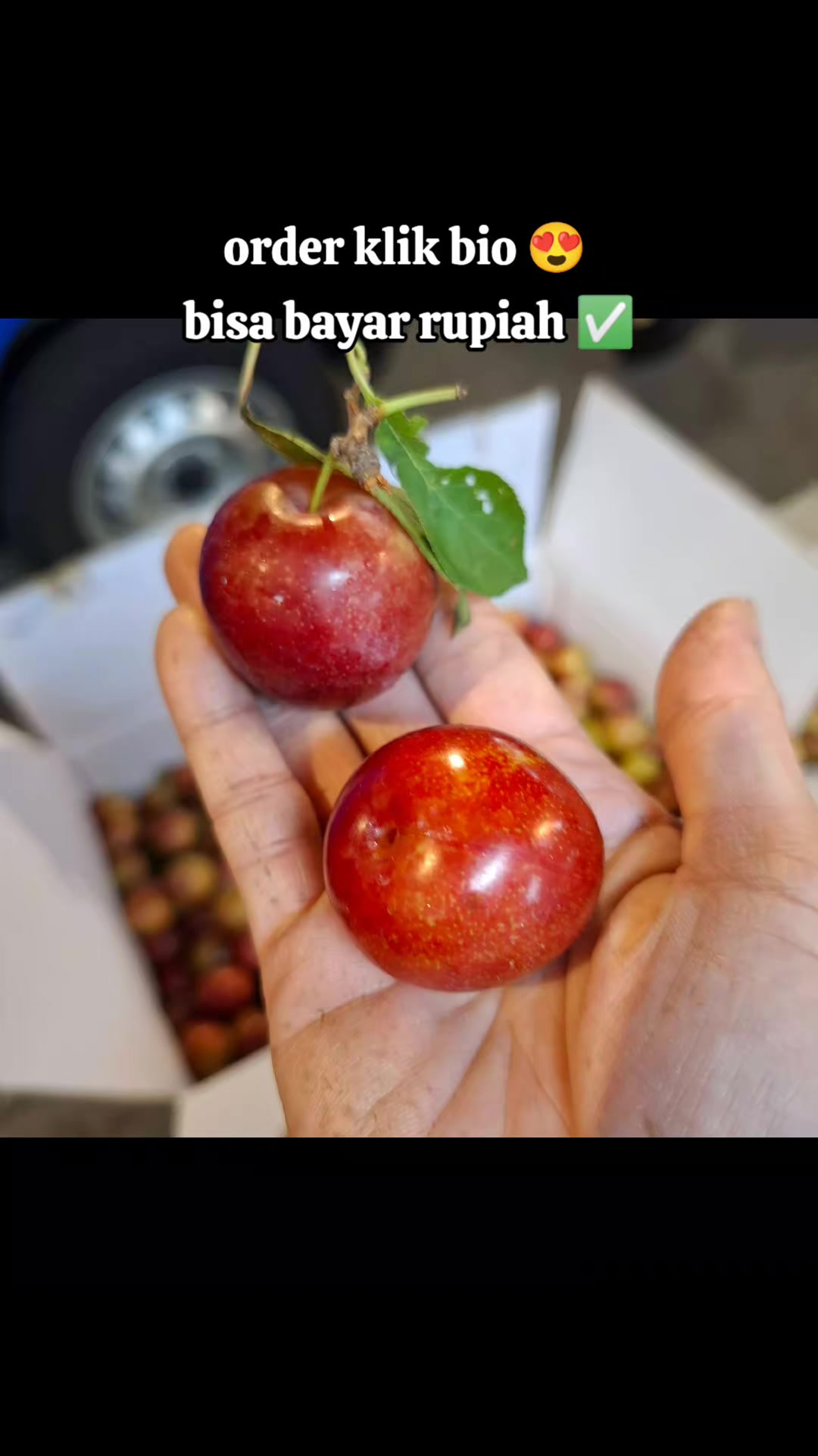 @Dessy prihartiny 🇹🇼 olshop