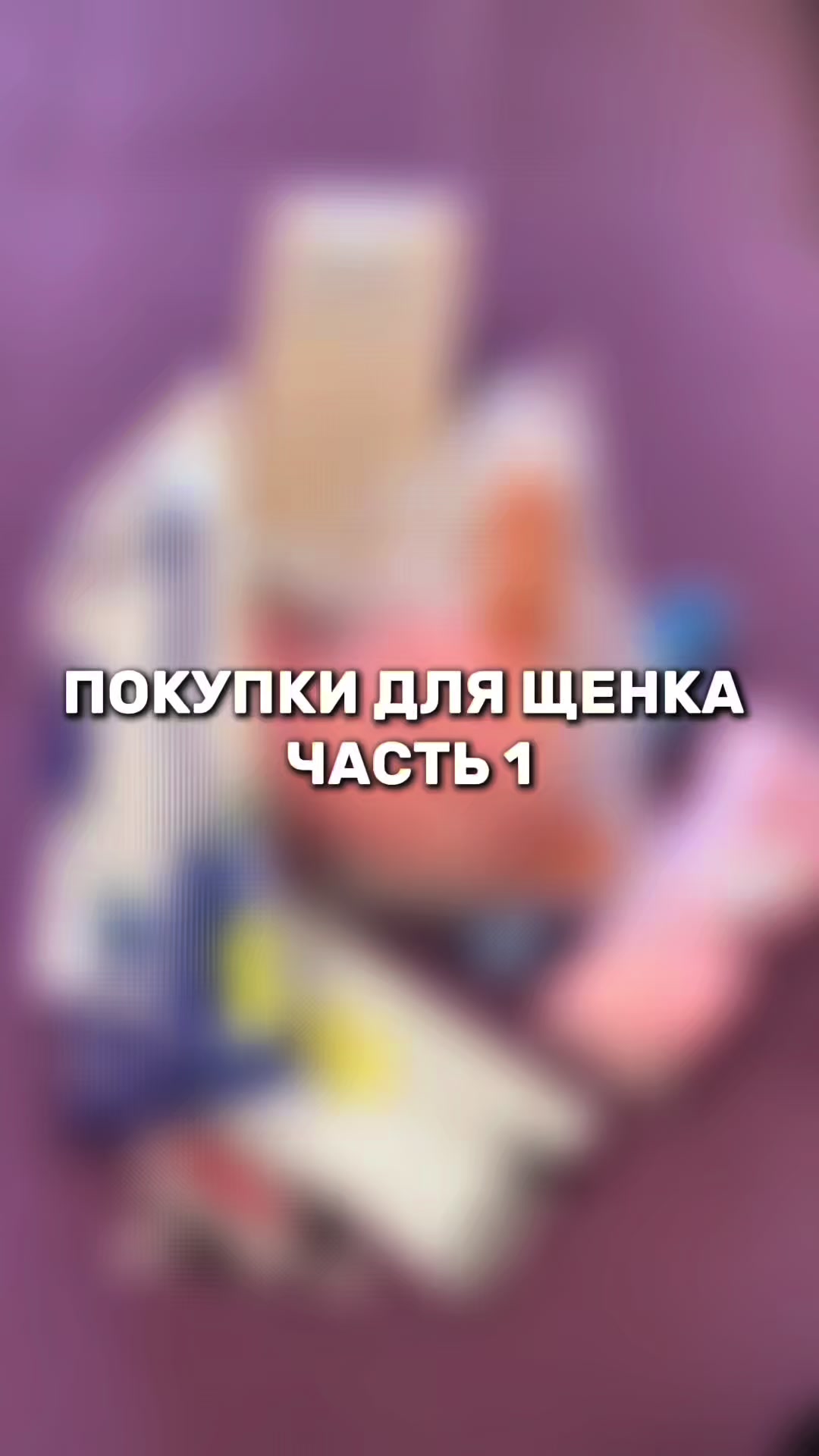 @bckushina
