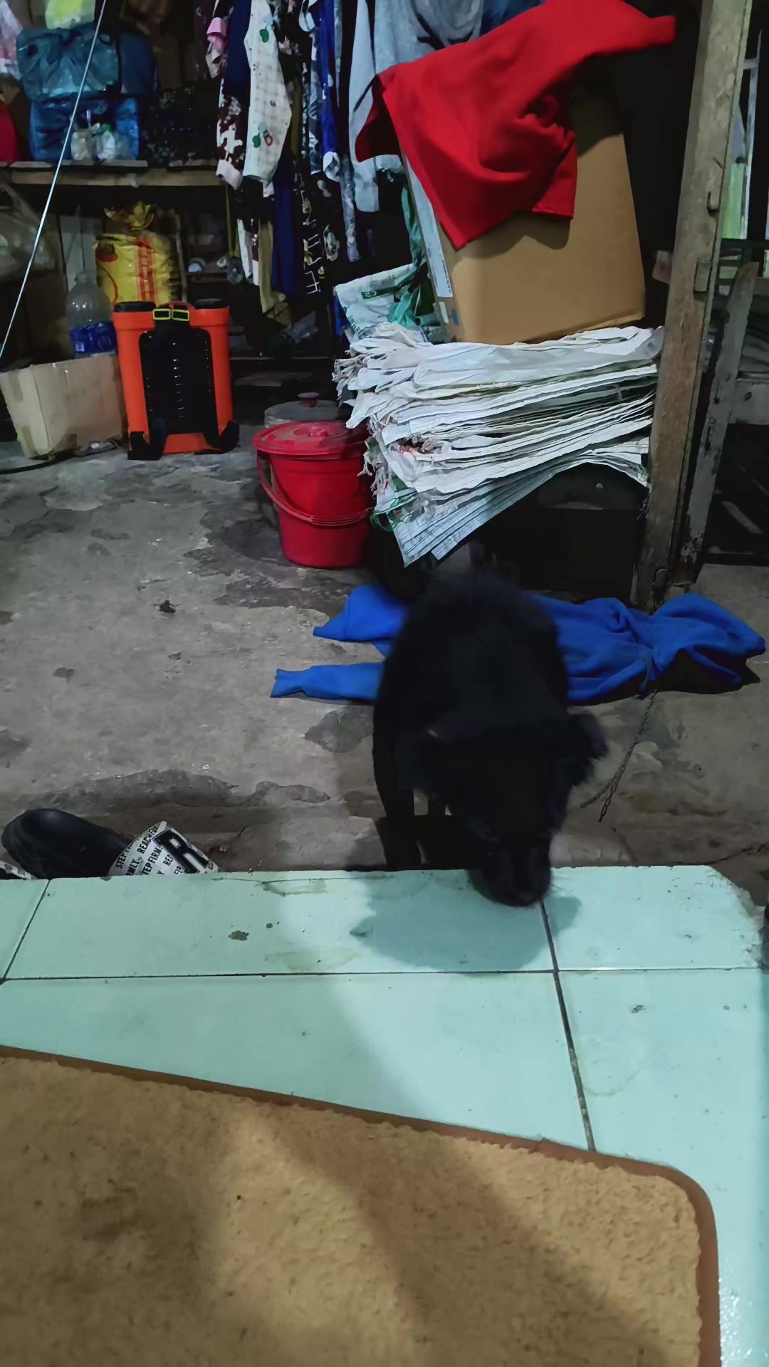 @Na sắp ba nhăm chủi