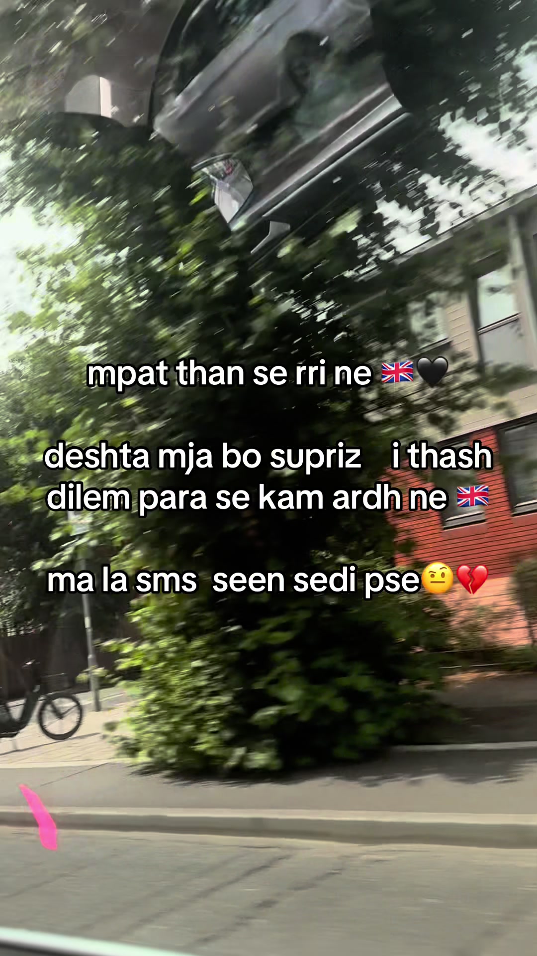 @zemra 🖤