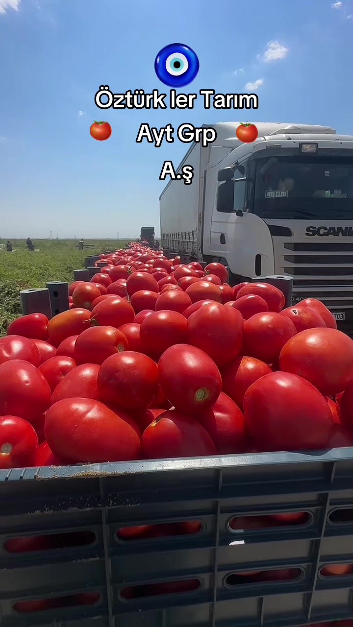 @Rıdvan Öztürk
