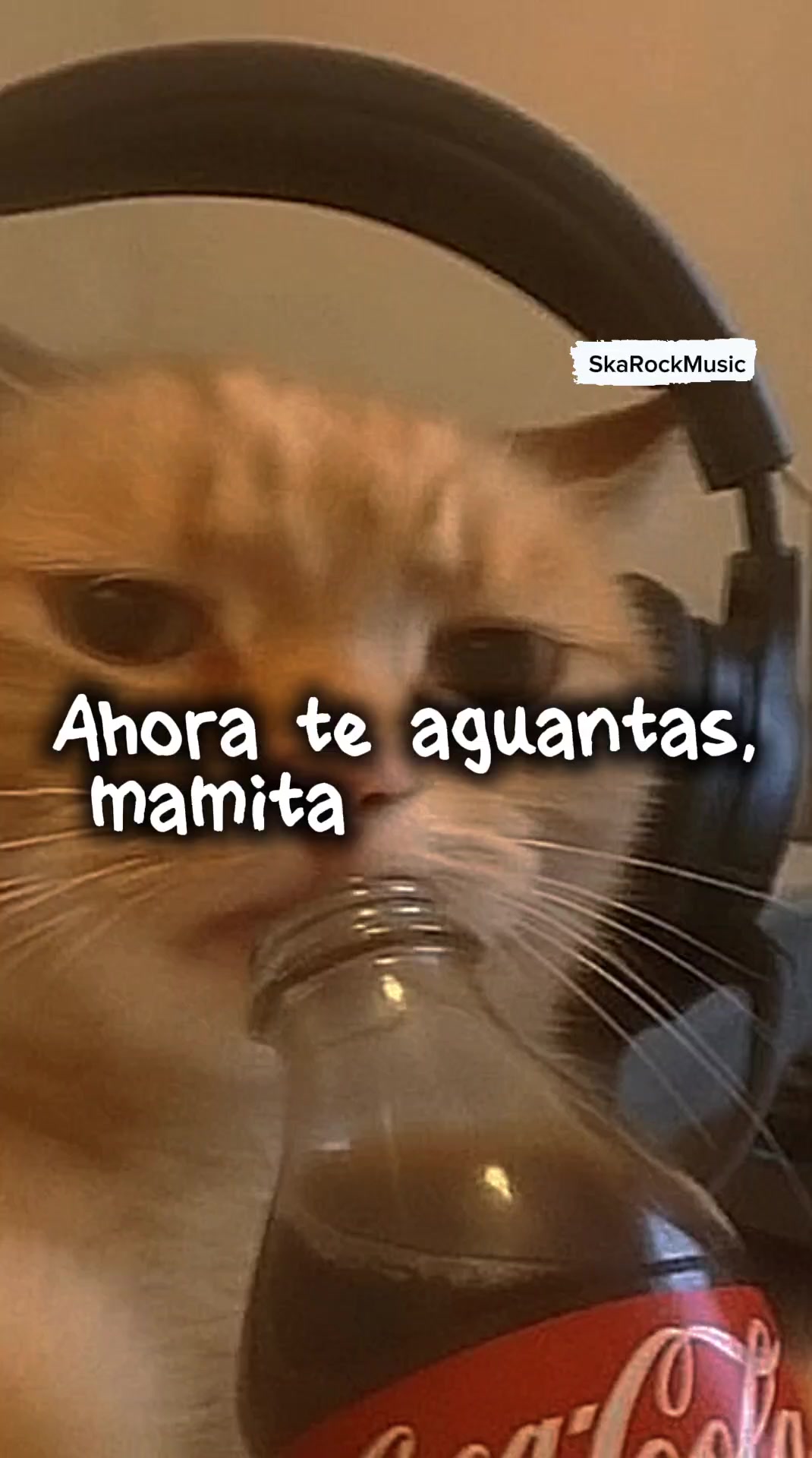@SKAROCKMUSIC