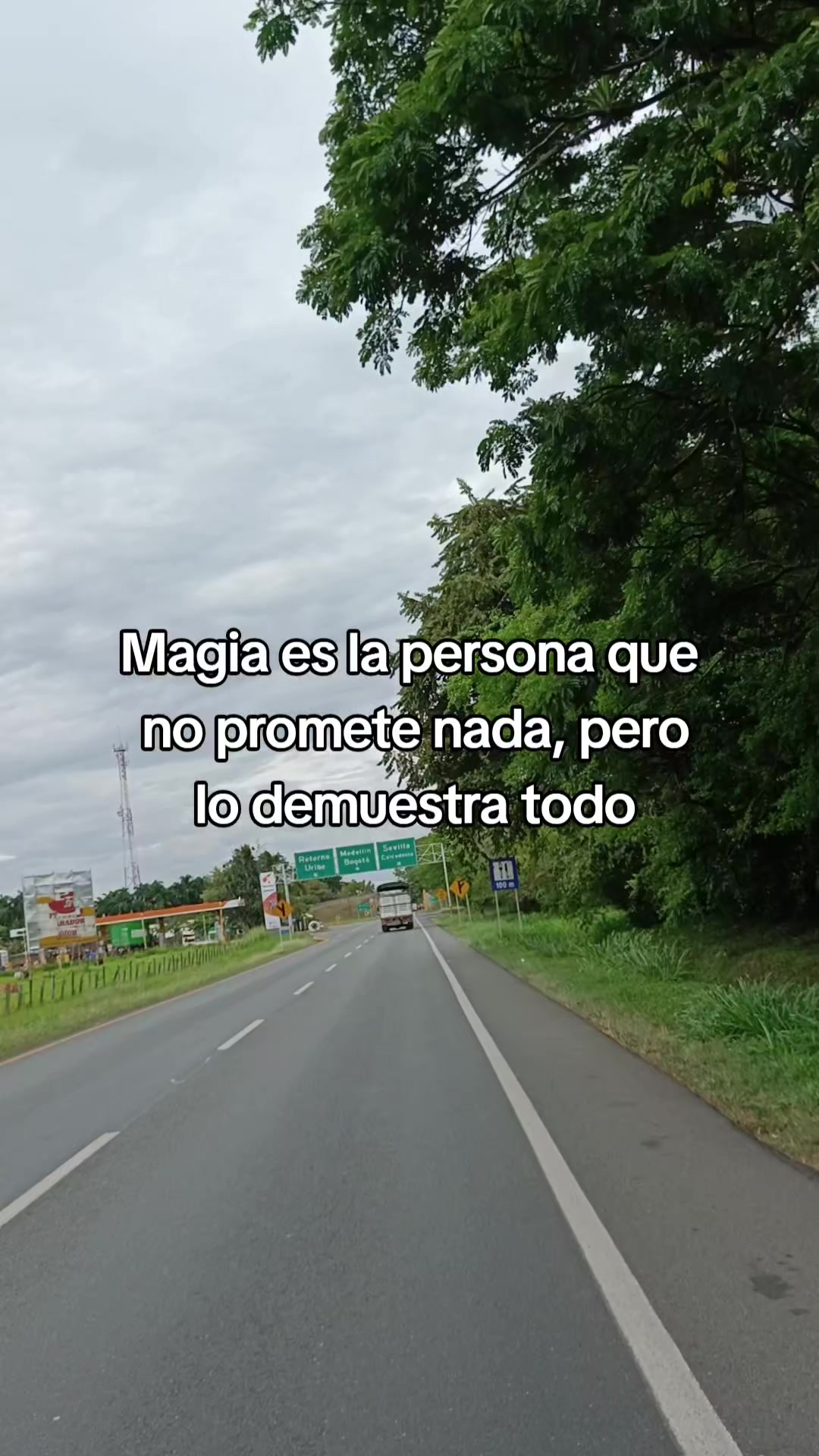 @luz