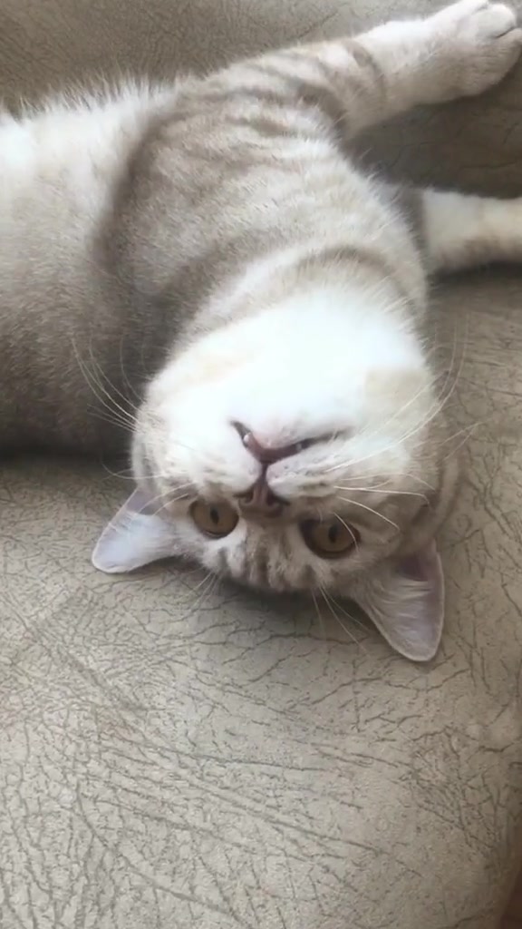 @LIUTIK