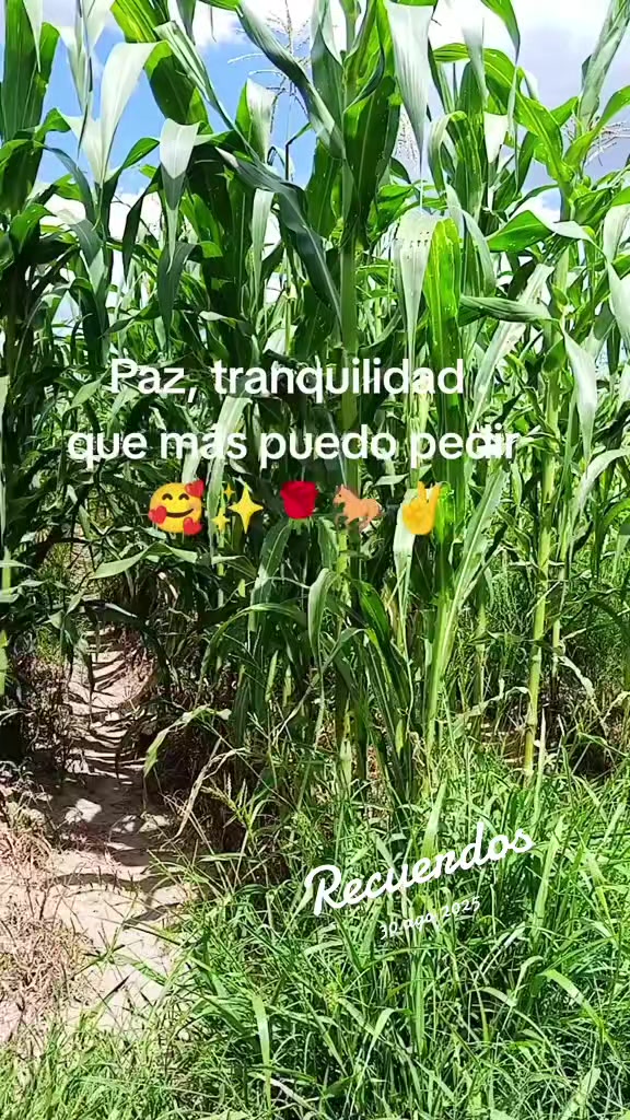 @⭐💞Juanita 💞⭐