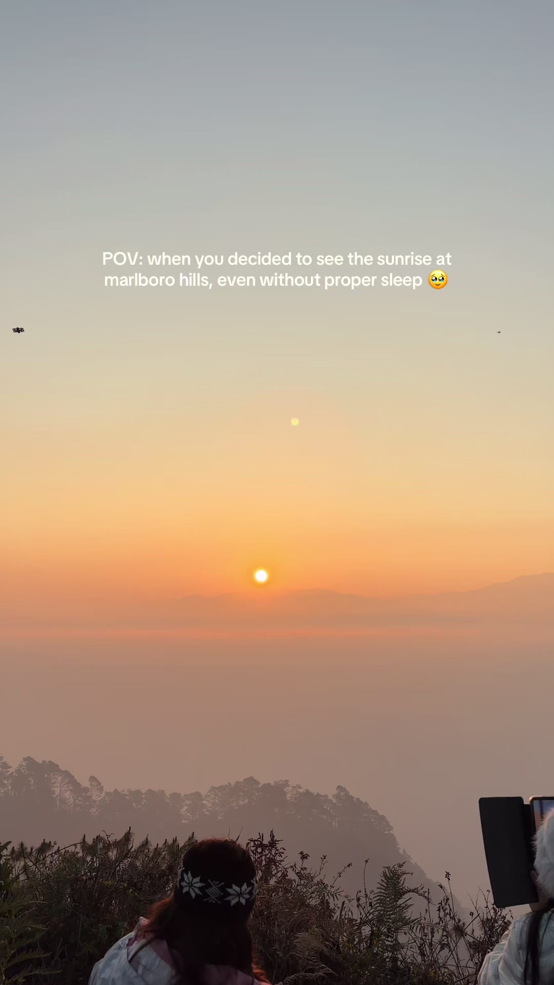 @andreajoy🦋