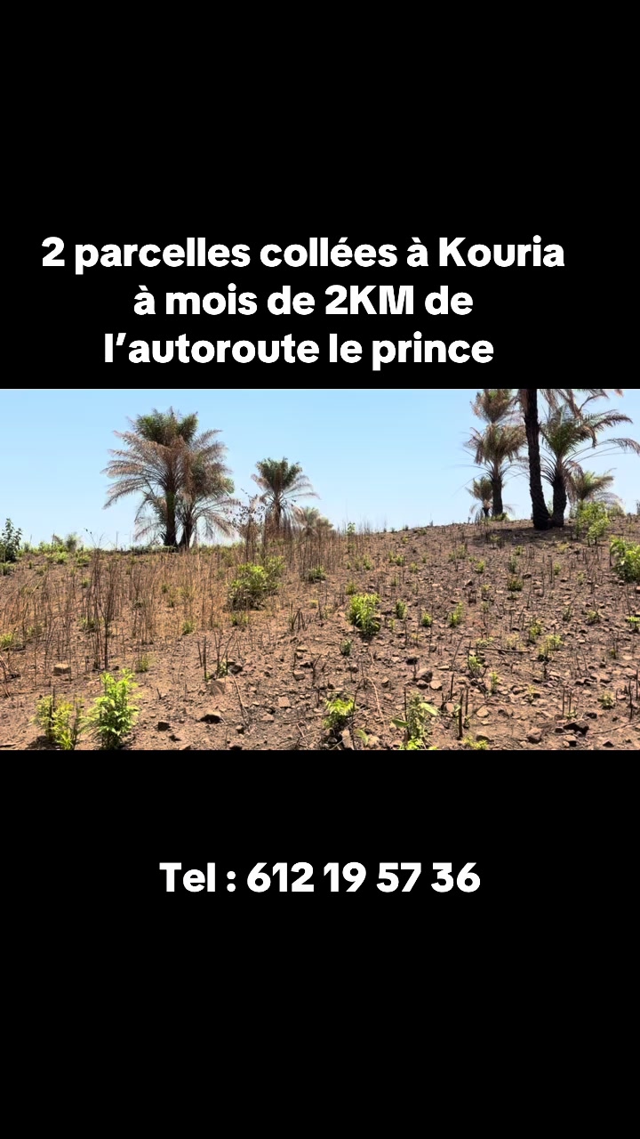 @afsow-ENAF