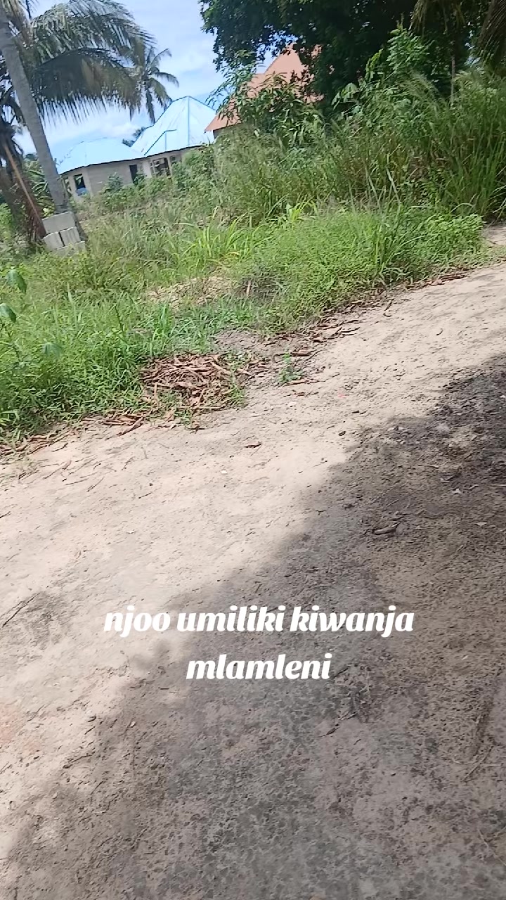 @Bad umeme