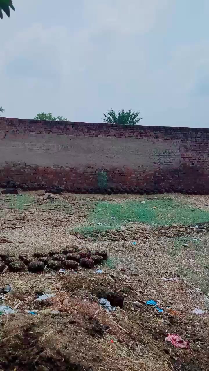 @فاروق انور