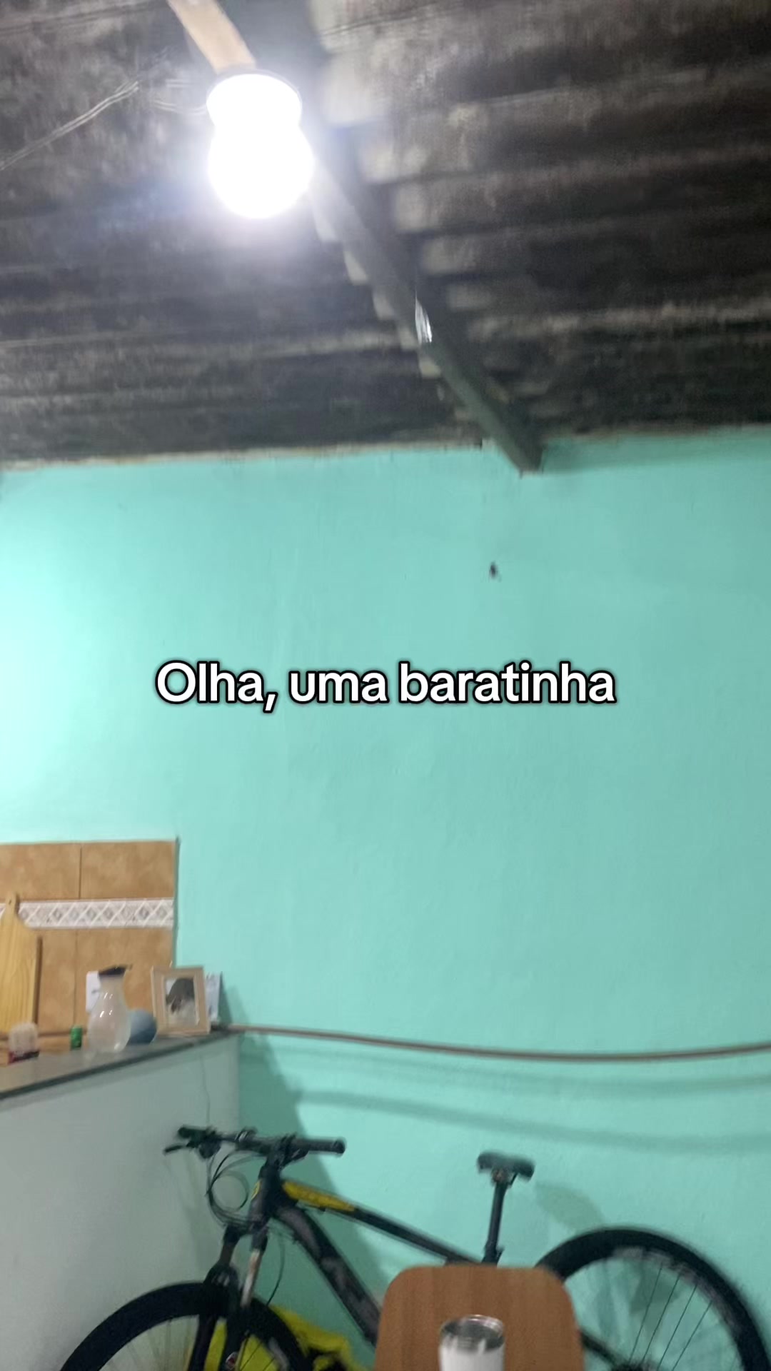 @Giovana Viana