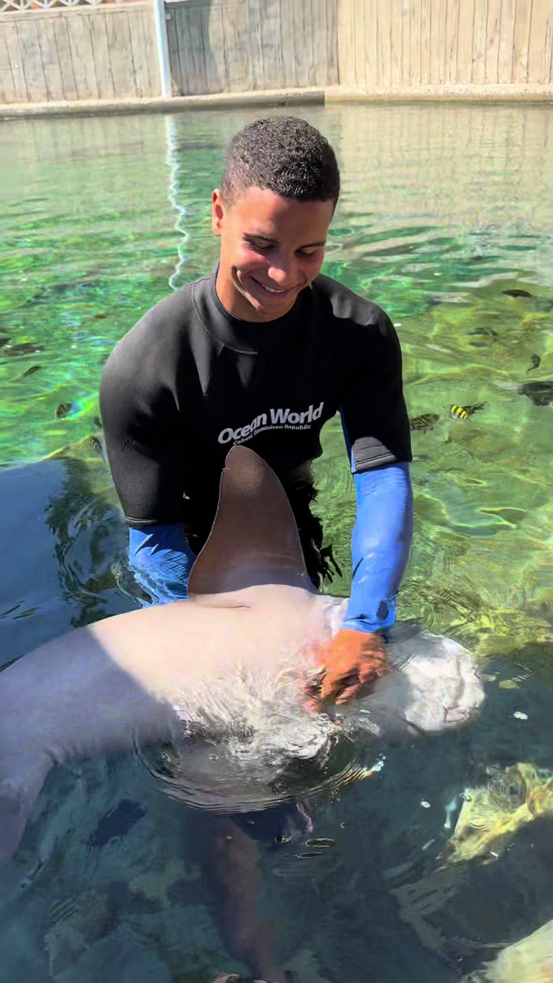 @oceanworldRD