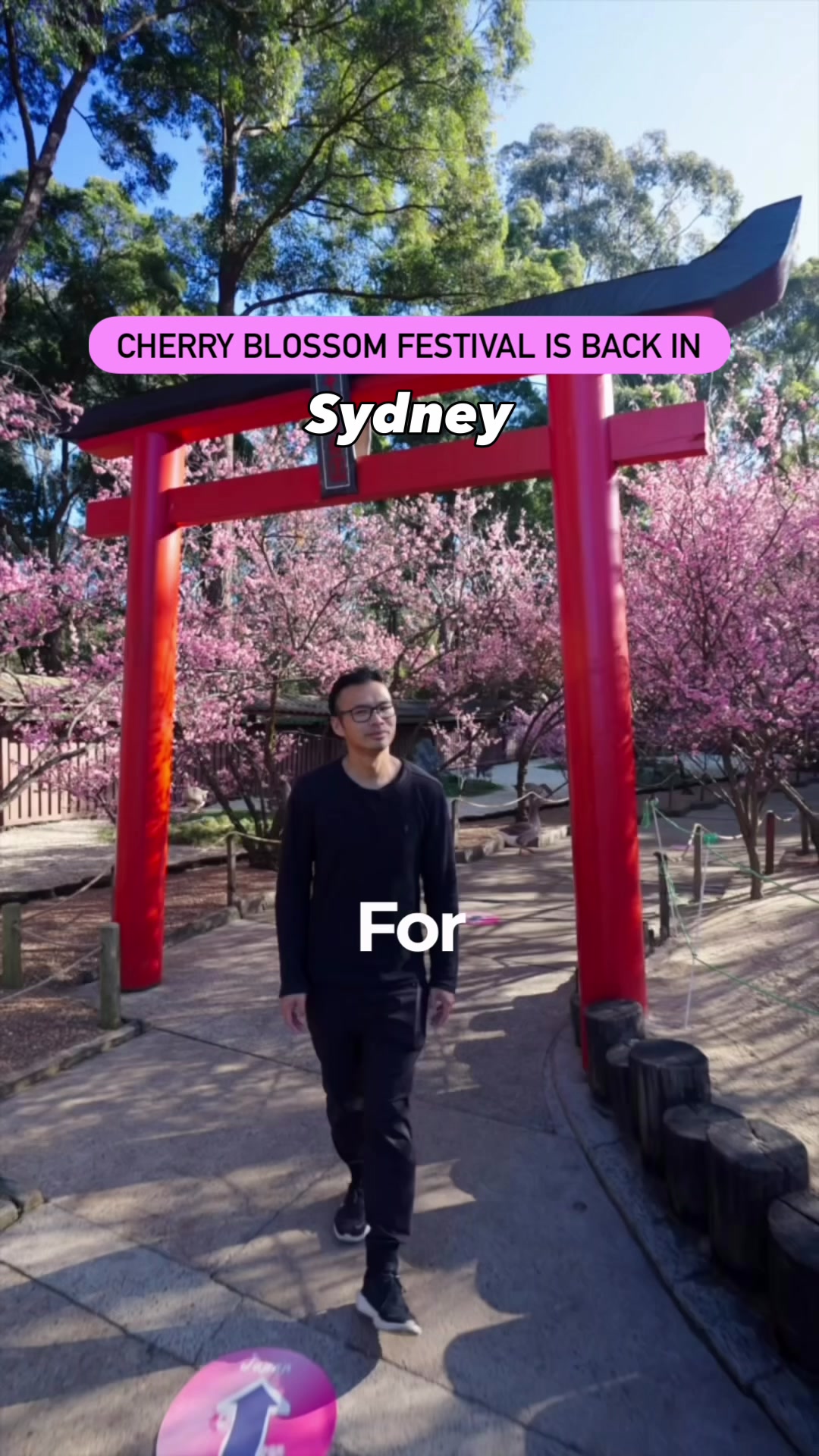 @Chester See