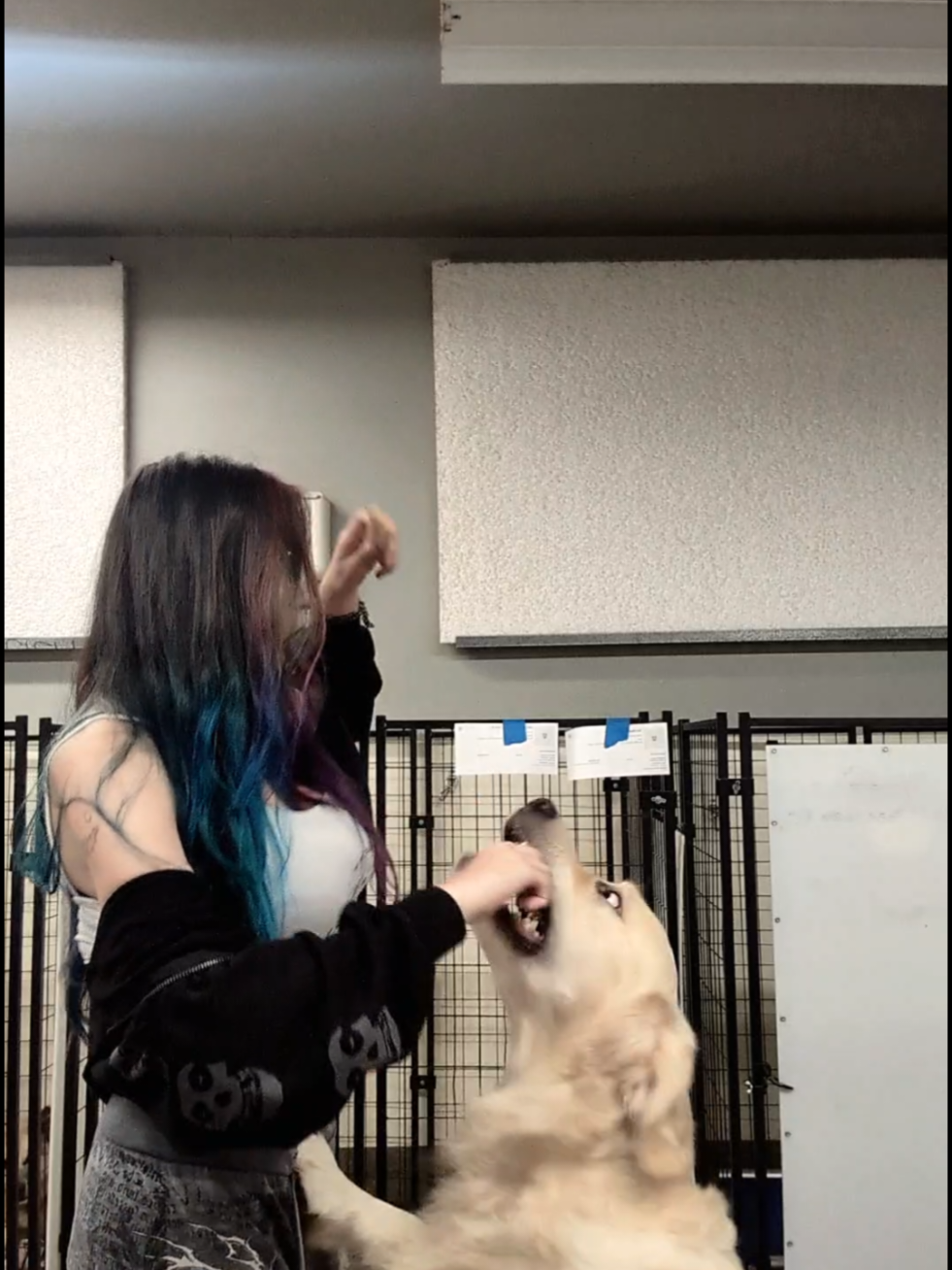 @(㇏^.ˬˬ.^ノ)~♡𝔏𝔦𝔷𝔷𝔦𝔢