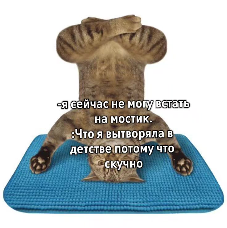 @🫂
