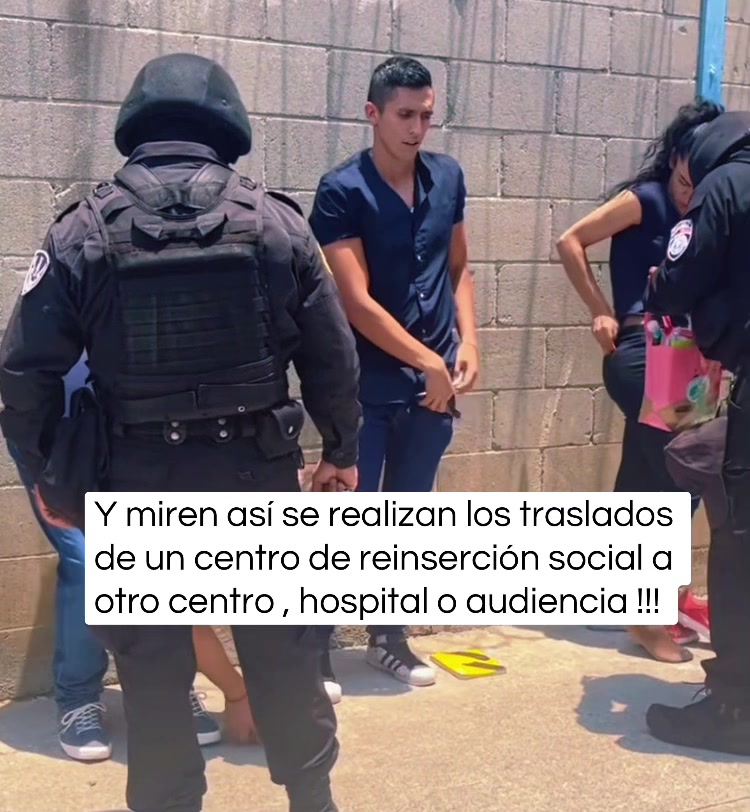 @Reas de turquesa
