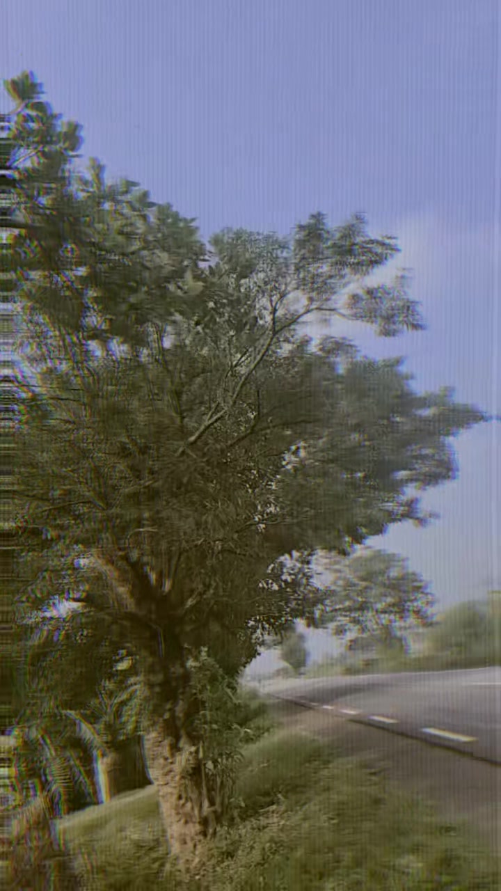 @chanda kumarii mehta
