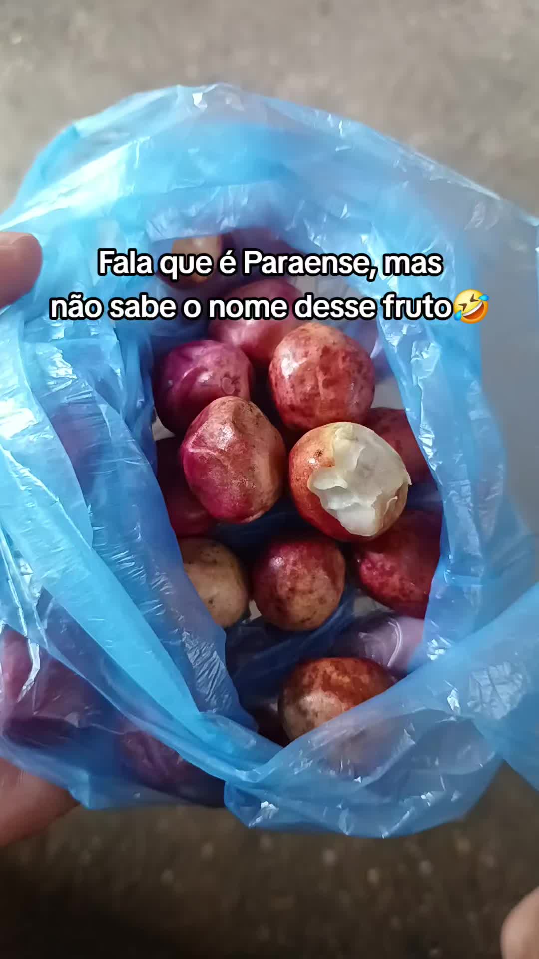 @E aí Paraense