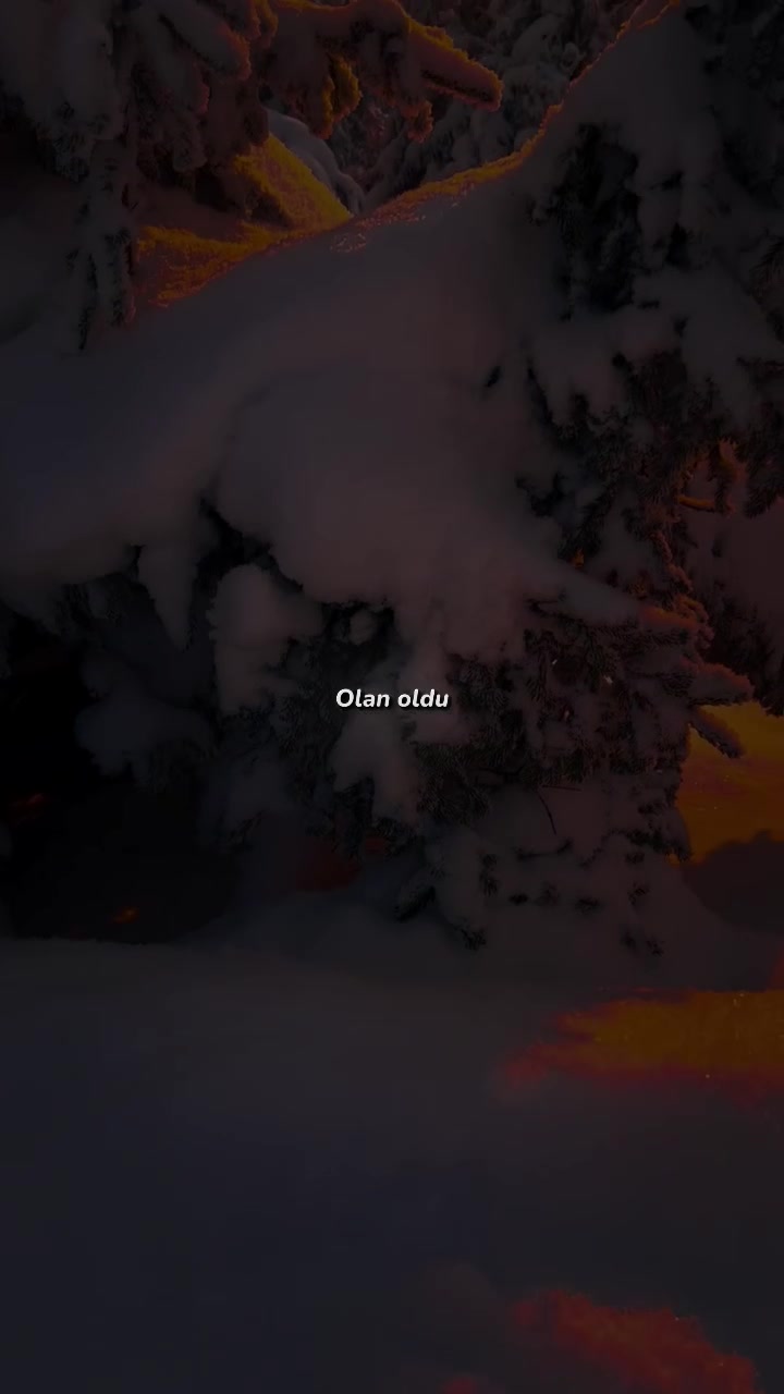 @𝙫𝙞𝙥 𝙡𝙮𝙧𝙞𝙘𝙨