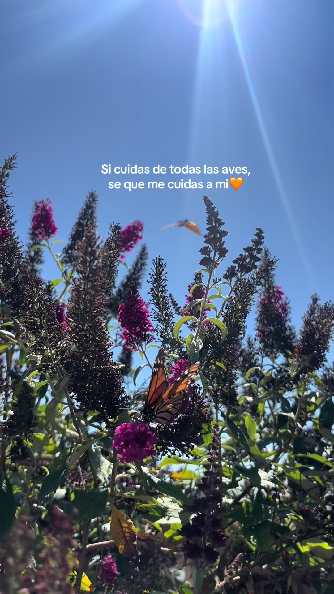 @Jessica🦋