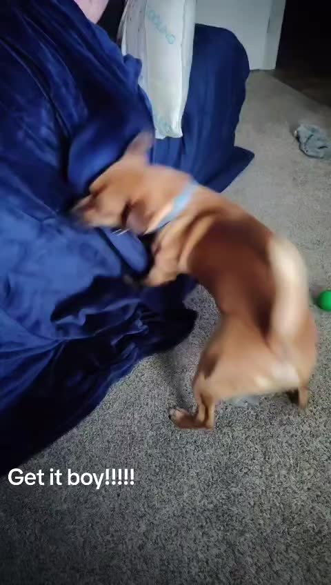 @shugabear420