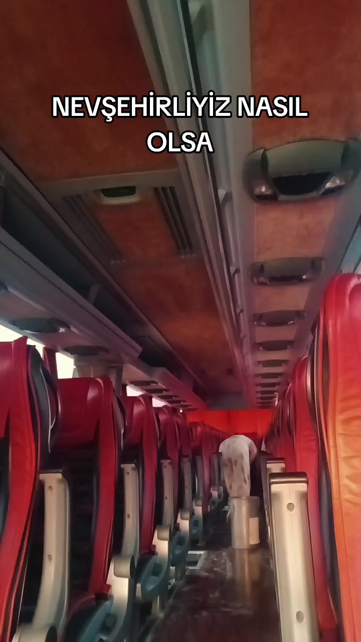 @emelııı