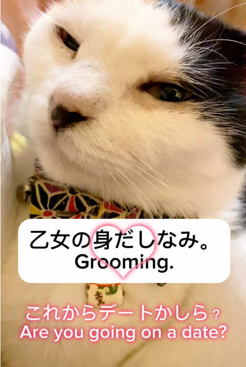 @こゆきチャンネル
