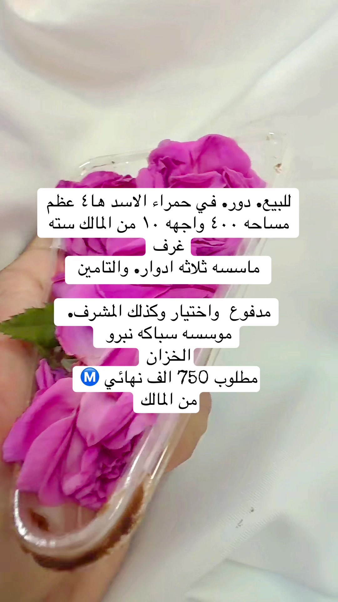 @ابن المدينه 🏘️ابومحمدⓂ️