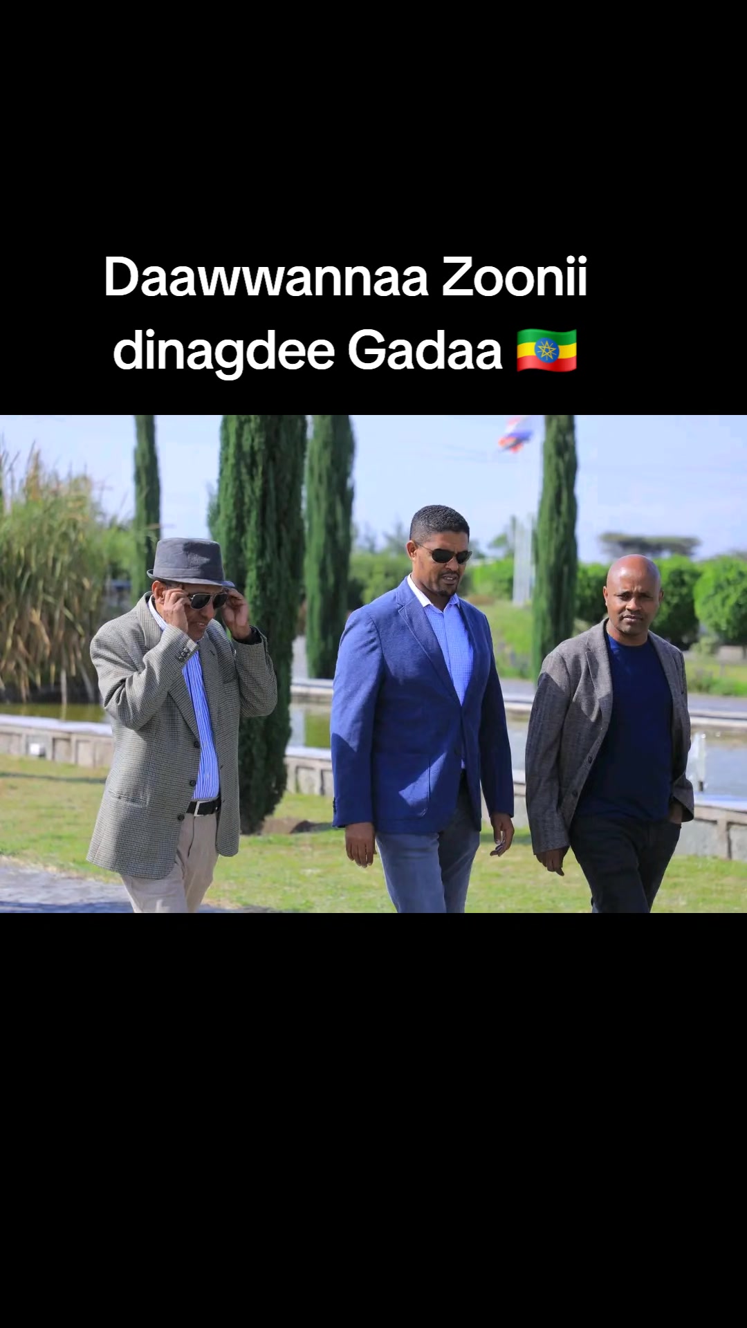 @Shimallis Abdisa Parody