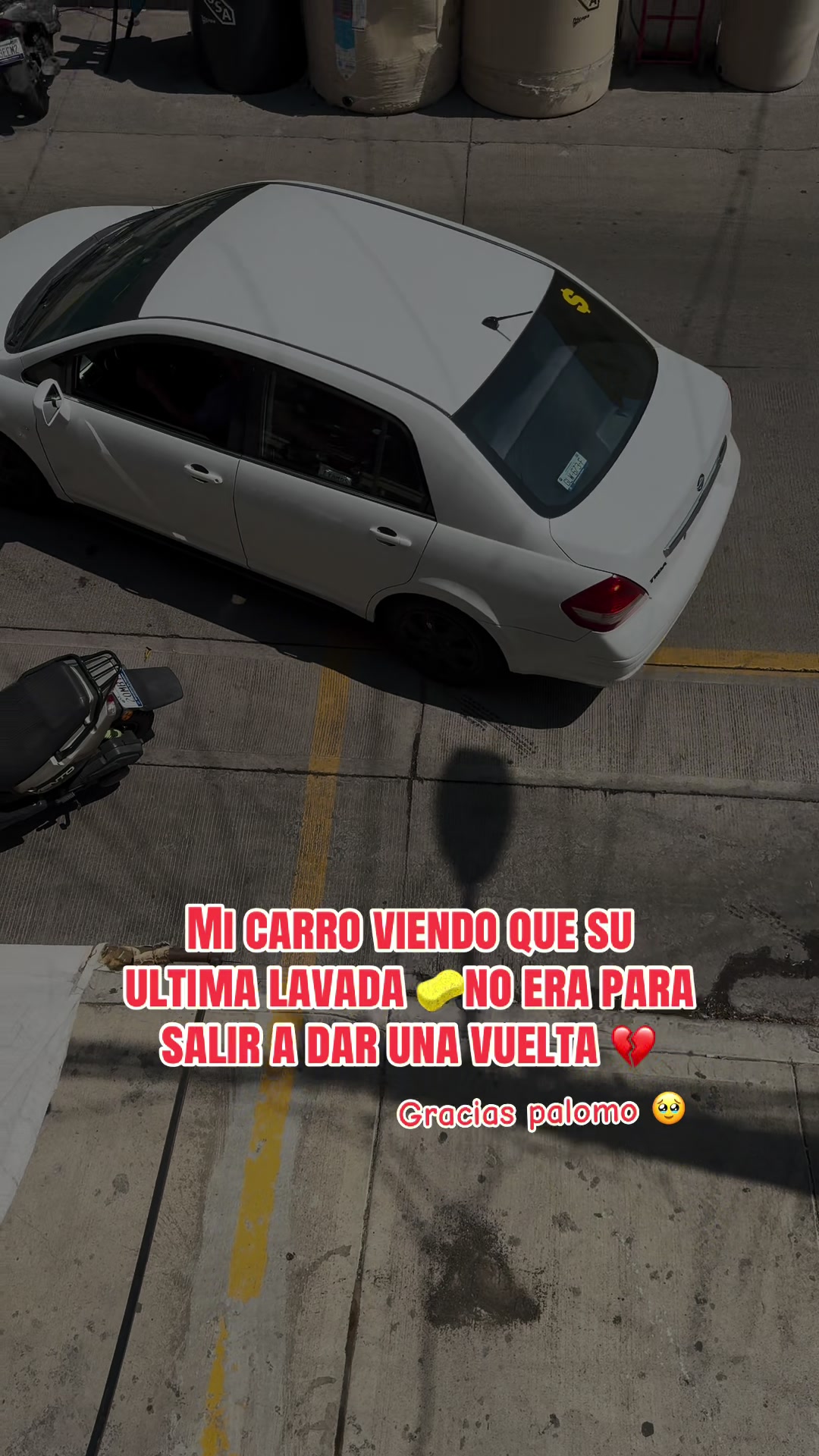 @Liliana Carmona