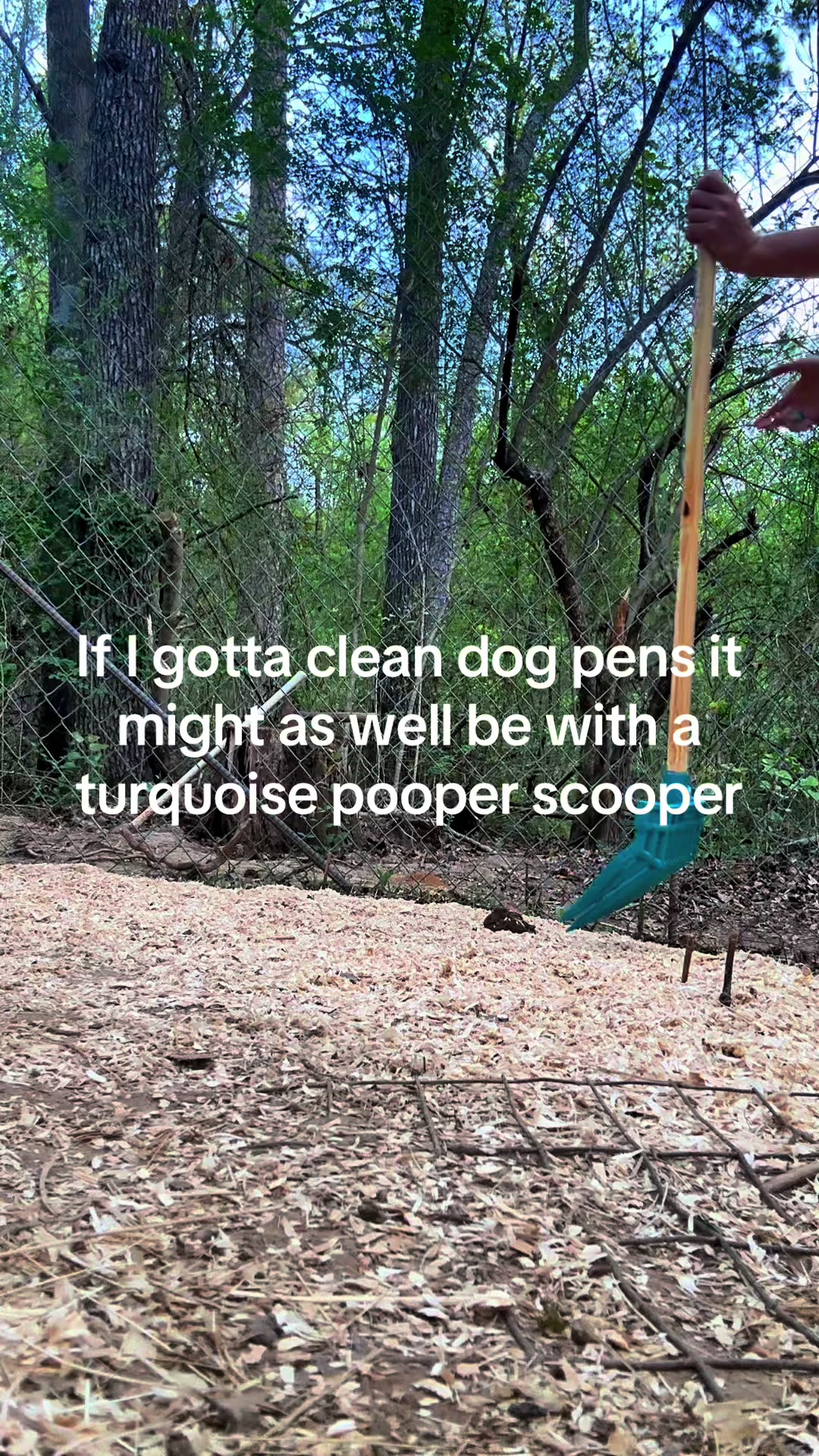 @Linda