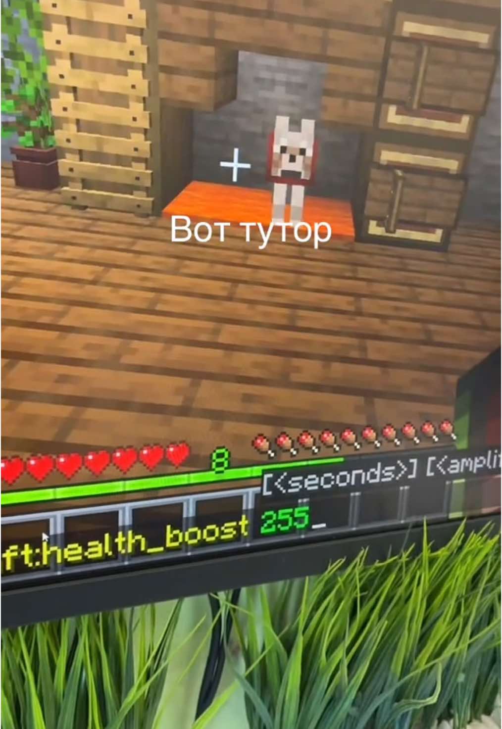 @McShark