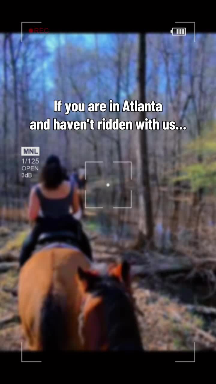 @Rogue Reins