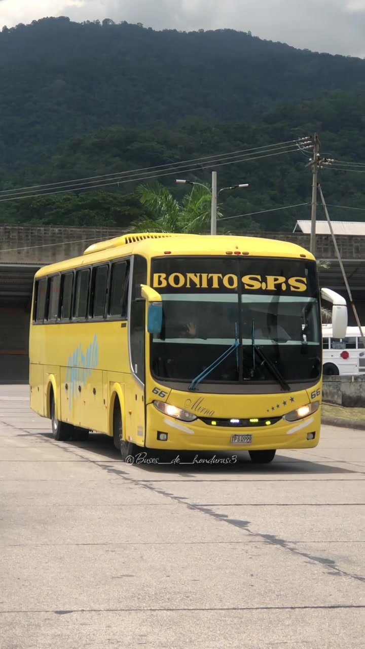@Buses De Honduras 504๐ธ๐ญ๐ณ