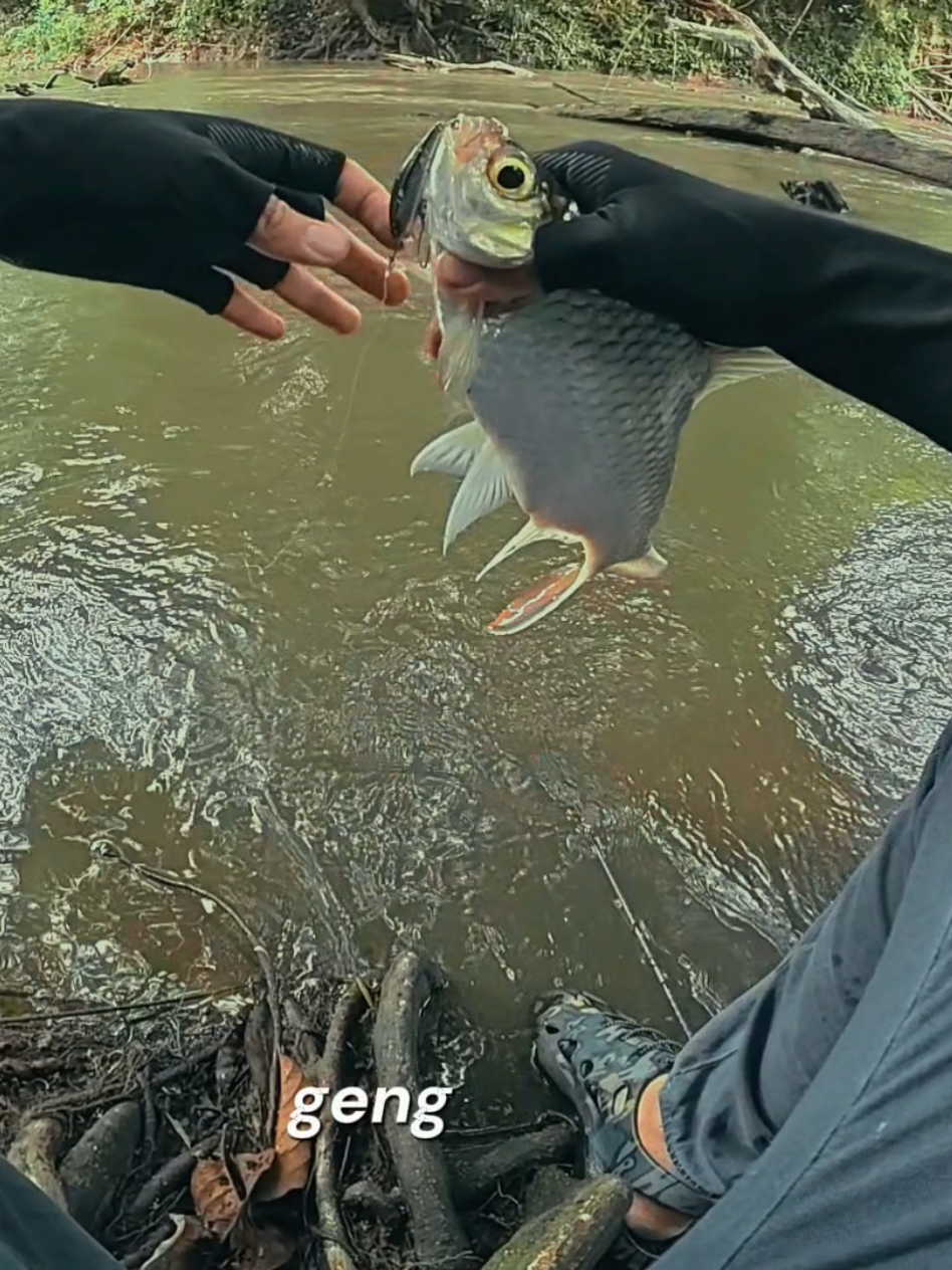 @Damz Strike Fishing