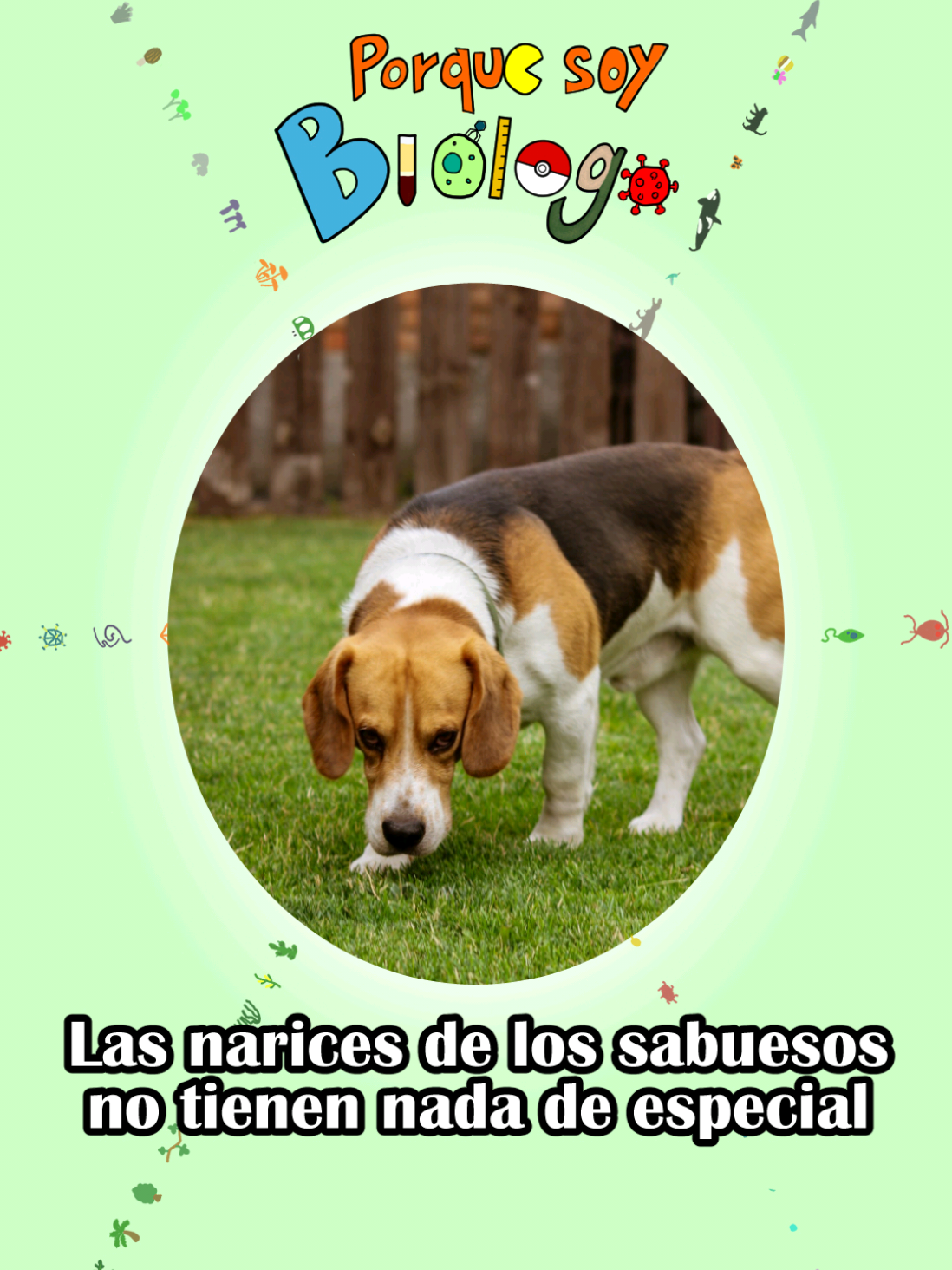 @Porque soy Biólogo