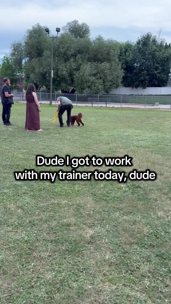 @Kairo's K9s Training 🇨🇦