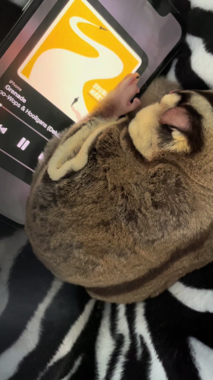 @Sadglider