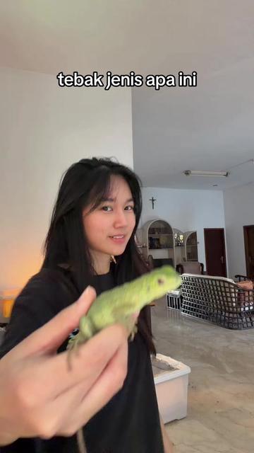 @gobi.and.eli