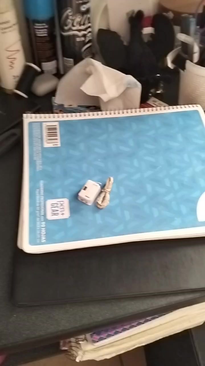 @Michelleponiycandyrainbow290