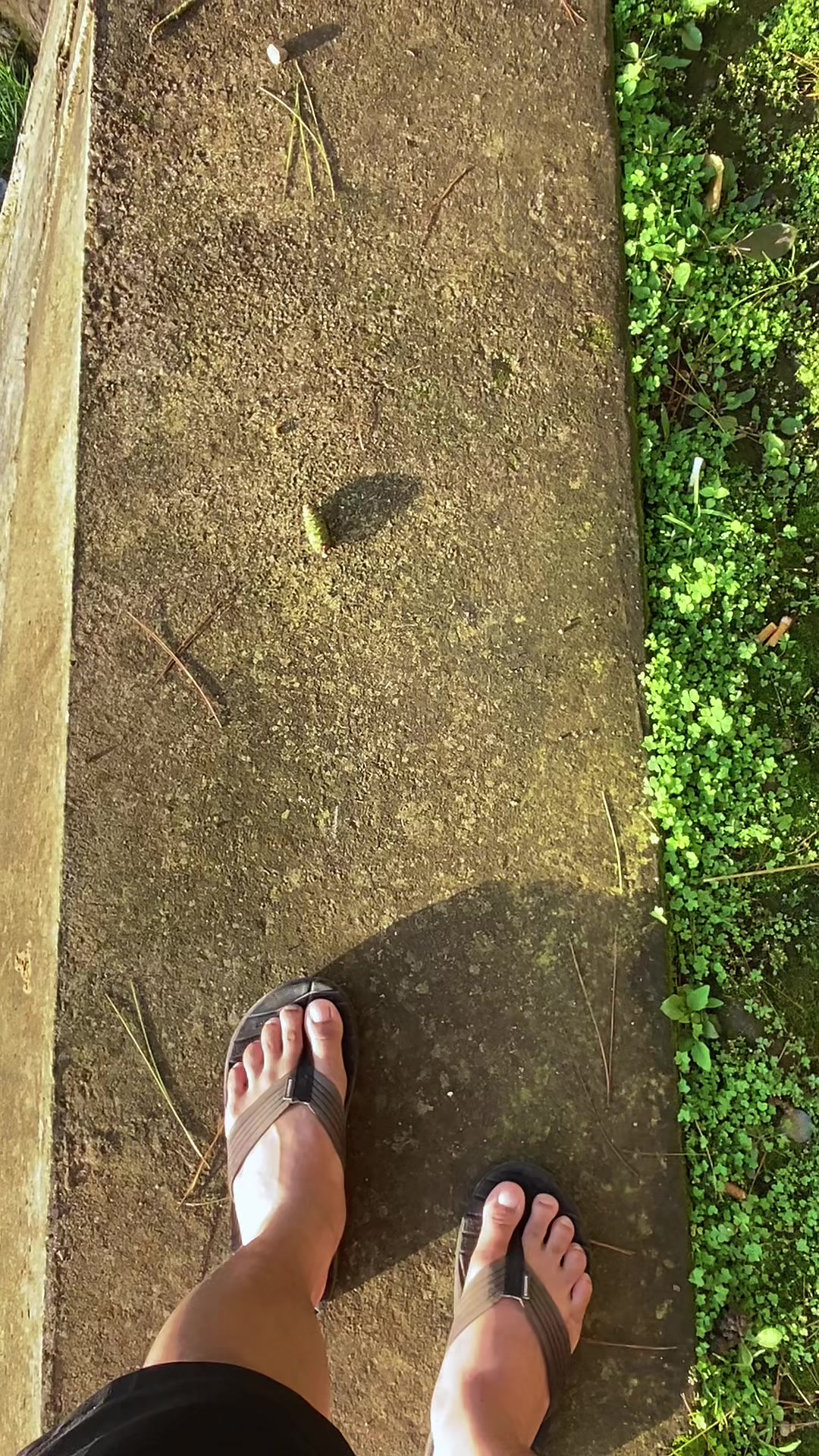 @𝑴𝒂𝒖𝒍𝒍𝒍