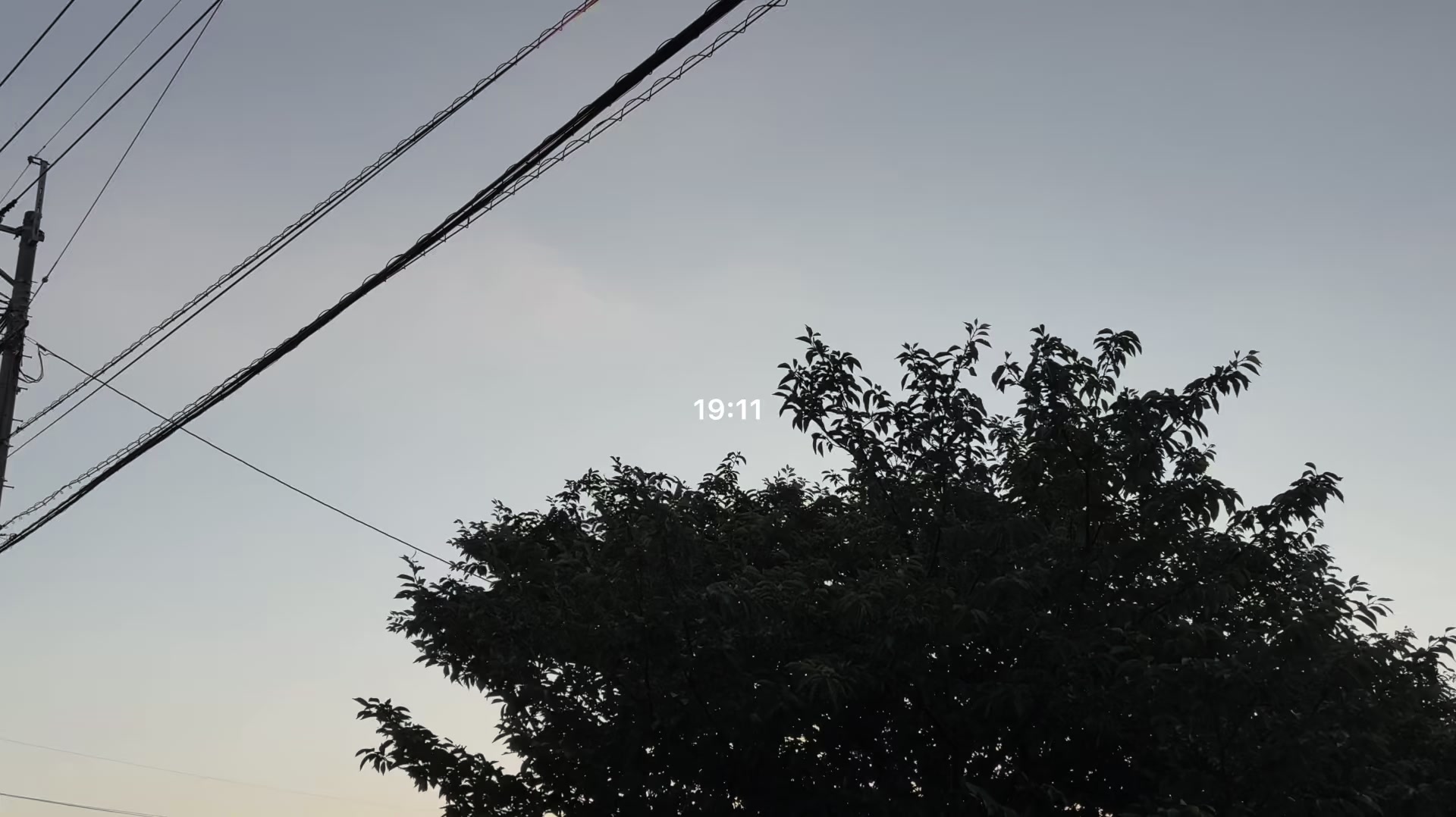 @ソ ル