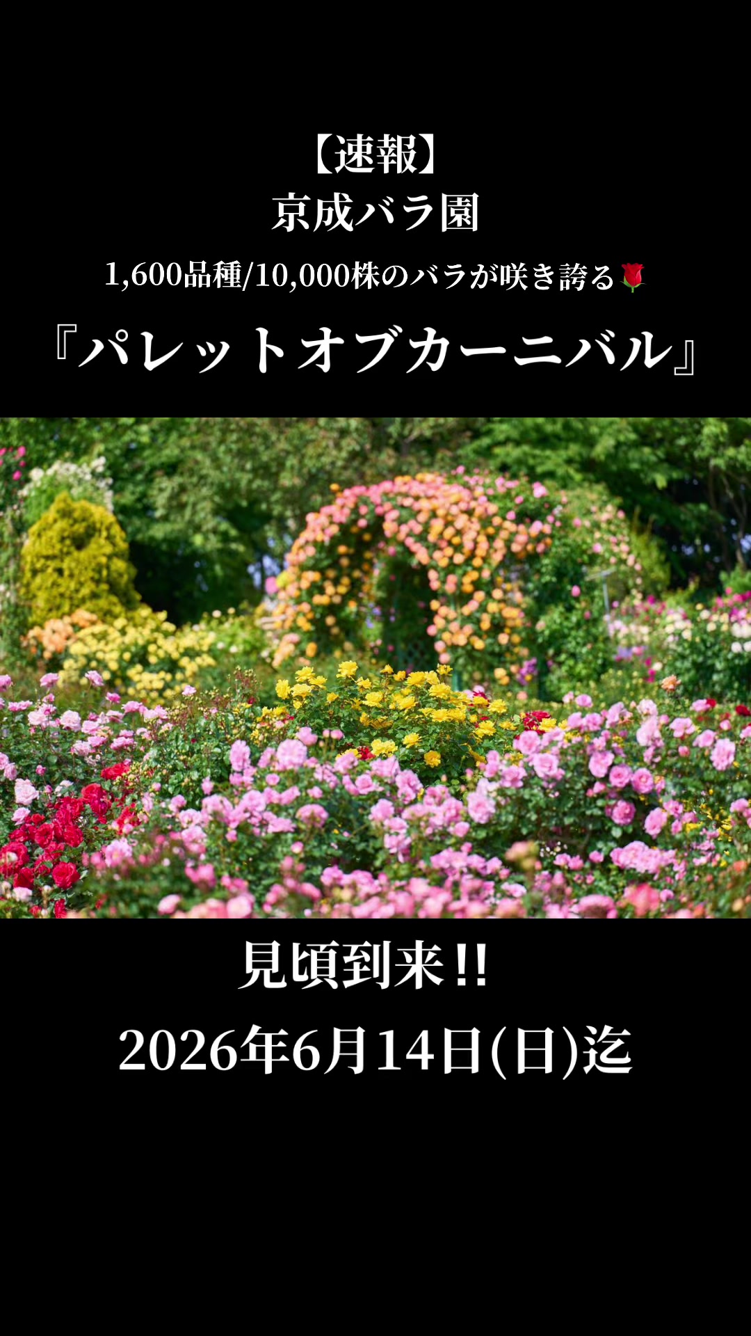 @厳選‼︎おすすめスポット